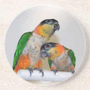 Baby Caique Parrots Animal Underlägg Sandsten