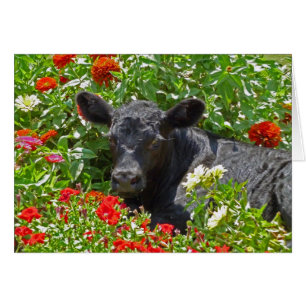 Baby Calf i blommorna Hälsningskort