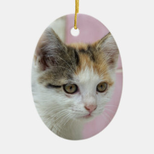 Baby Calico Julgransprydnad Keramik