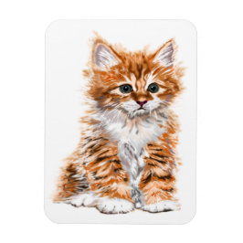 Baby Cat Magnet Gift