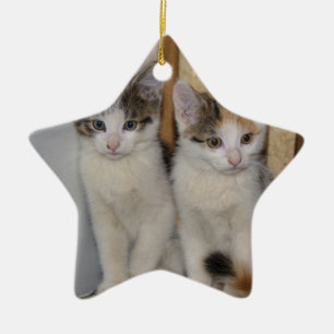 Baby Cats Julgransprydnad Keramik