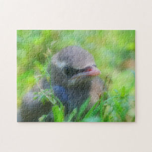 Baby Cedar Waxwing Fledgling Bird Nature Pussel