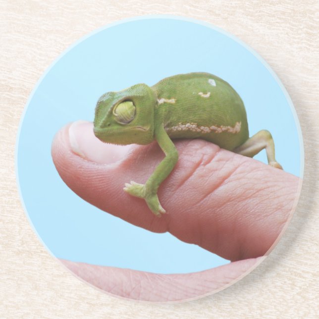 Baby chameleon perspektiv underlägg (Framsidan)
