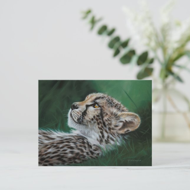 Baby Cheetah Postcard Set 10 Vykort (Stående Fram)