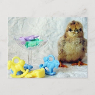 BABY CHICK 2 VYKORT