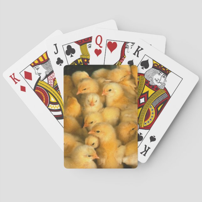 Baby Chick Chicks Chicken Casinokort (Baksidan)
