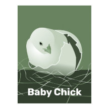 Baby Chick Grönt Kitchen Wall Art