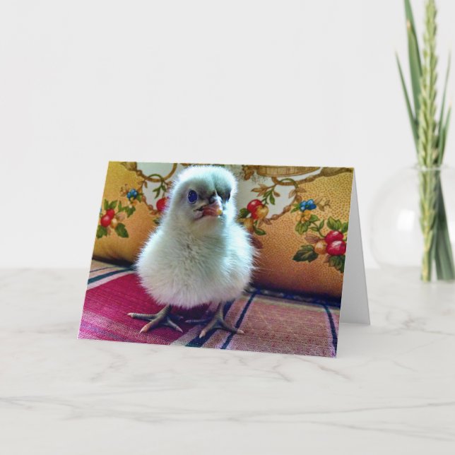 Baby Chick-hälsningskort Kort (Framsida)