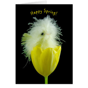 Baby chick i gult tulp hälsningskort