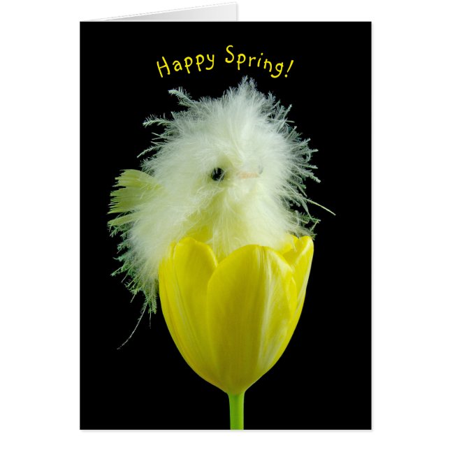 Baby chick i gult tulp hälsningskort (Framsidan)