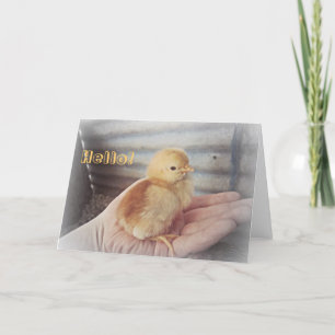 Baby Chick-kort för "Hej" Kort