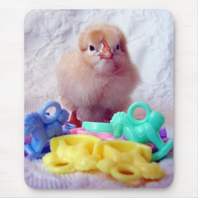 Baby Chick-musknapp Musmatta (Framsidan)