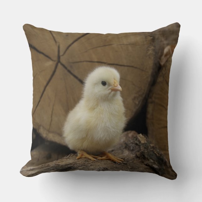 Baby Chick på loggar Kudde (Framsida)
