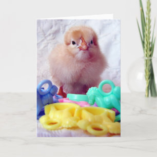 Baby Chick, Perfekt för hälsningskort för babyskor Inbjudan