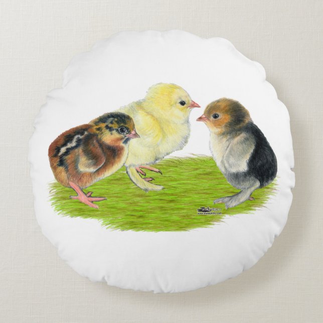 Baby Chick Trio Rund Kudde (Framsidan)