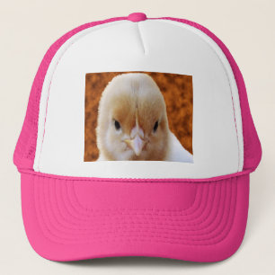 Baby Chicken Ansikte, Hat Keps