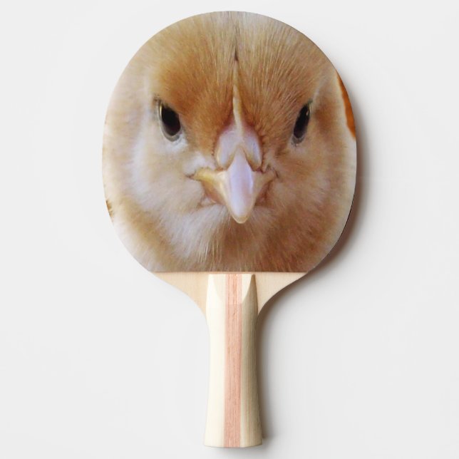 Baby Chicken Ansikte, Pingisracket (Framsidan)