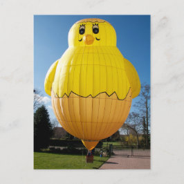 Baby Chicken Balloon Vykort