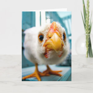 Baby Chicken, Tupp, lantbruksdjur, hälsningskort Kort