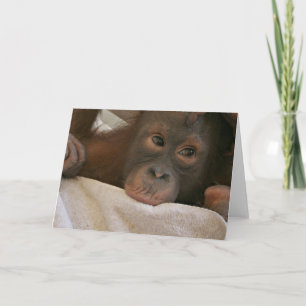 Baby chimp-hälsningskort kort