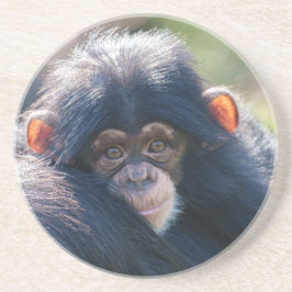 Baby Chimpanzee's Journey Underlägg