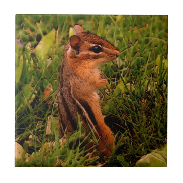 Baby Chipmunk Animal Art Kakelplatta (Framsidan)