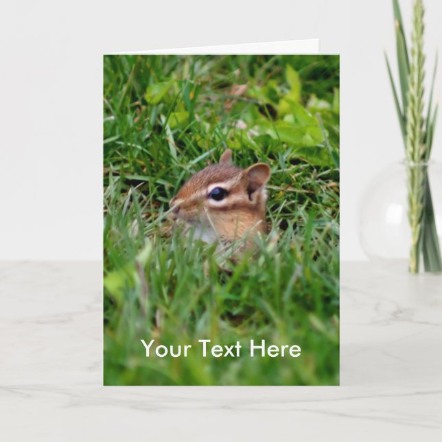 Baby Chipmunk Animal Photo Card Kort (Framsida)