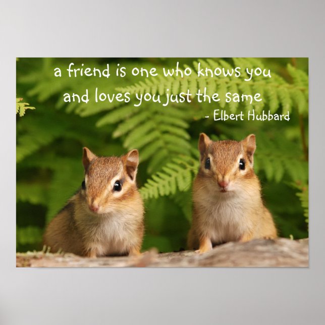 Baby Chipmunk Friends Quote Poster (Framsidan)
