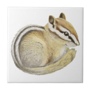 Baby Chipmunk Kakelplatta
