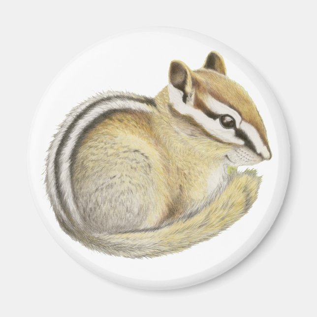 Baby Chipmunk Magnet (Framsidan)