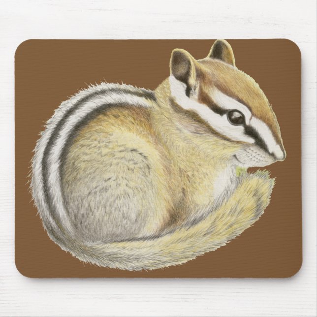 Baby Chipmunk Musmatta (Framsidan)