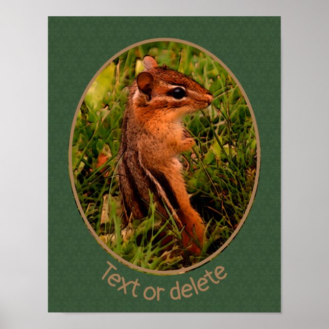 Baby Chipmunk Wildlife Animal Art Personlig Poster (Framsidan)