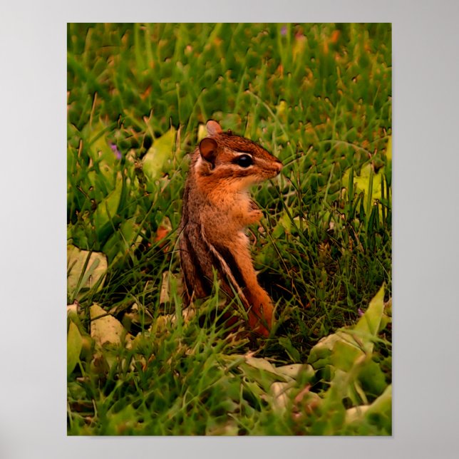 Baby Chipmunk Wildlife Animal Art Poster (Framsidan)
