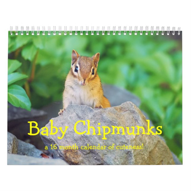 Baby Chipmunks 2013/2014 (16 månaders kalender) Kalender (Omslag)