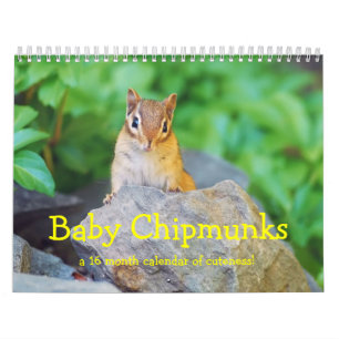 Baby Chipmunks 2014/2015 (16 månaders kalender) Kalender
