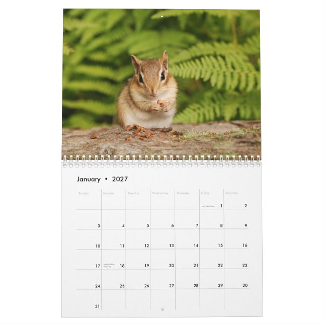 Baby Chipmunks 2014/2015 (16 månaders kalender) Kalender (Jan 2027)