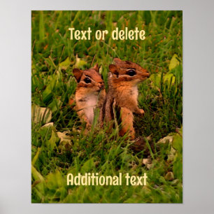 Baby Chipmunks Animal Art Personlig Poster