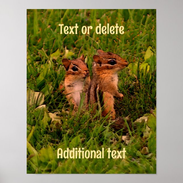 Baby Chipmunks Animal Art Personlig Poster (Framsidan)