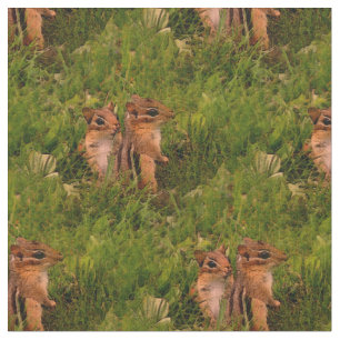 Baby Chipmunks Animal Nature Art Tyg
