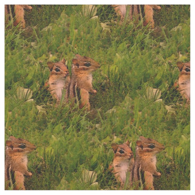 Baby Chipmunks Animal Nature Art Tyg (Närbild)