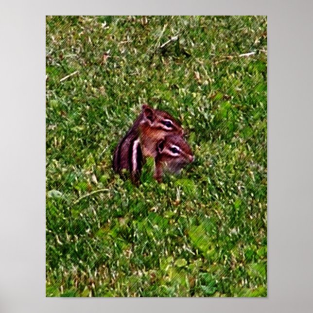 Baby Chipmunks First Day #2 Animal Poster (Framsidan)