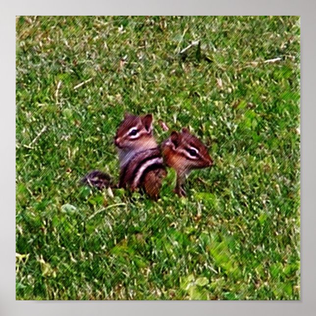 Baby Chipmunks First Day #3 Animal Poster (Framsidan)