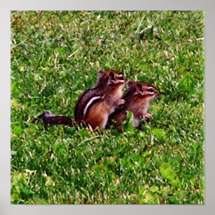 Baby Chipmunks Första Dag #6 Djur Poster
