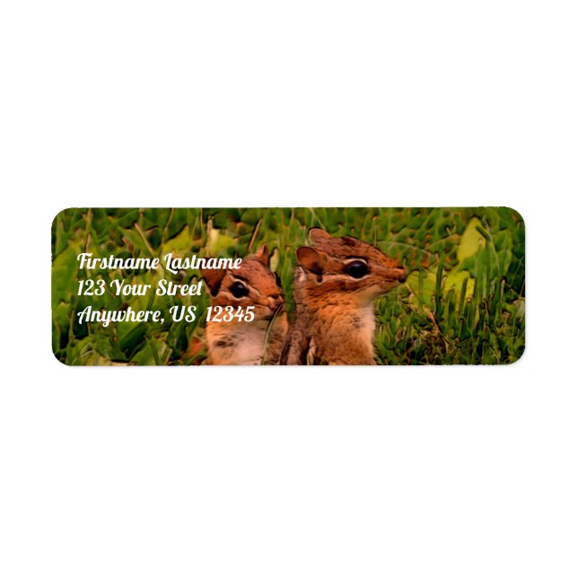Baby Chipmunks Wildlife Animal Art Adress Returadress Etikett (Framsidan)