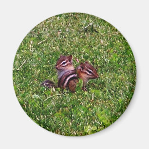Baby Chipmuns First Day Animal Magnet