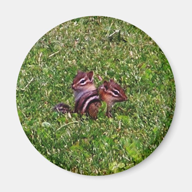 Baby Chipmuns First Day Animal Magnet (Framsidan)