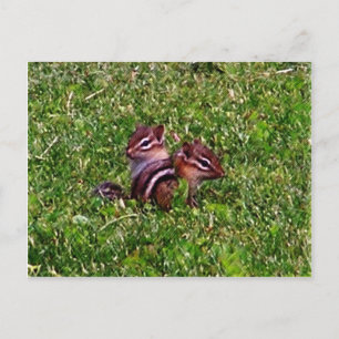 Baby Chipmuns första dag Djurvykort Vykort