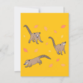 Baby Coatis Vykort