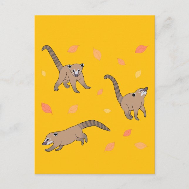 Baby Coatis Vykort (Framsida)