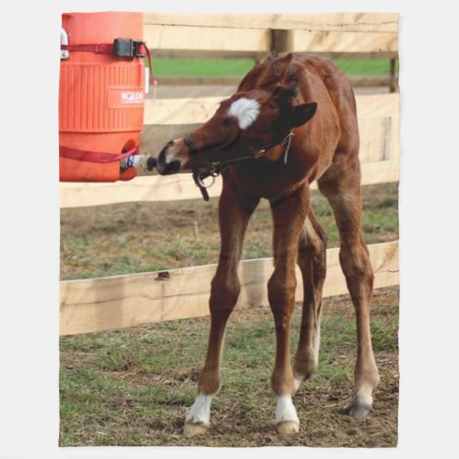 BABY COLT FÅR EN DRYCK FLEECEFILT (Framsidan)